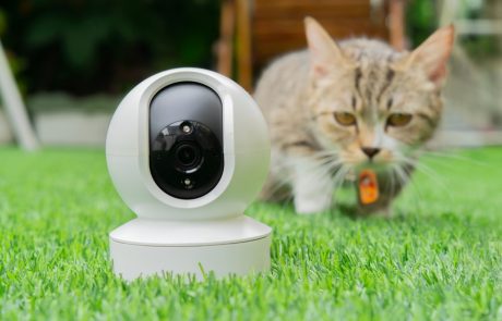 Security,Camera,Standing,In,The,Garden,Of,A,House,With